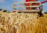 Ukraine’s grain exports are up 26% this year,