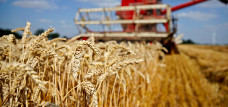 Український експорт зерна в цьому році виріс на 26% в порівнянні з аналогічним показником в період з 1 липня по 30 червня