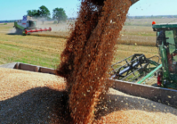 The early grain harvest has started across Ukraine