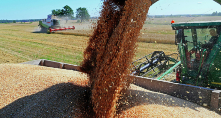 The early grain harvest has started across Ukraine