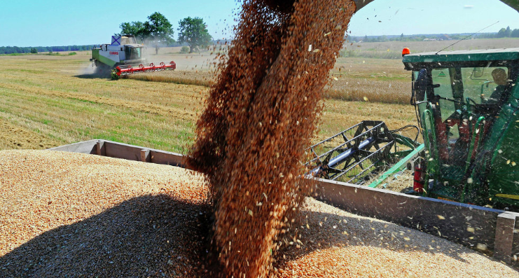 With the opening of a 120,000-ton modern grain elevator in Poltava this week, Astarta completes its five-year, $83 million programm to increase its storage capacity by 50%, to 600,000 tons.