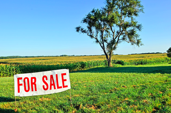 Today, the Rada starts to debate bills to create a farmland market in Ukraine.