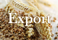 Of 20 food-exporting nations, Ukraine recorded the fastest-growing food exports to the EU over the last year – up 38%.