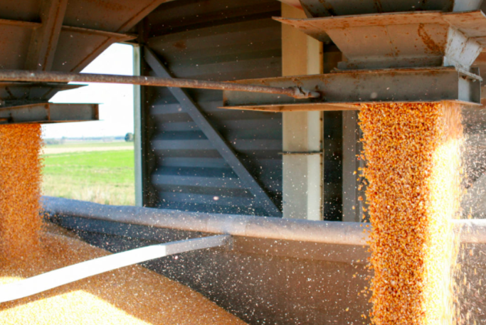 Measured in volume, grain exports are down by 14% — to 20 million tons