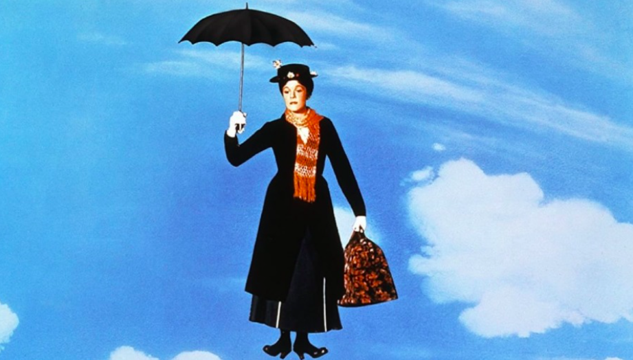 Ukraine’s version of Mary Poppins – the ‘investment nannies’ – were voted into existence by the Rada yesterday