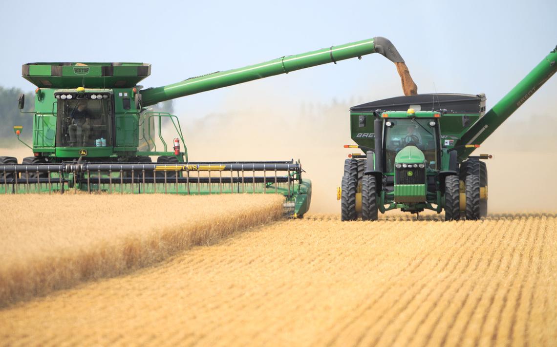 Ожидается, что в этом году урожай зерна в Украине вырастет на 15% до 75 миллионов тонн, вернувшись к рекордному уровню урожая 2019 года