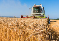 Ukrainian grain exports up more than 20%.