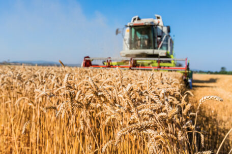 Tarım Politikası ve Gıda Bakanlığı, Ukrayna’nın 14,9 milyon hektarlık bir alanda 76,7 milyon ton tahıl hasat ettiğini açıkladı.