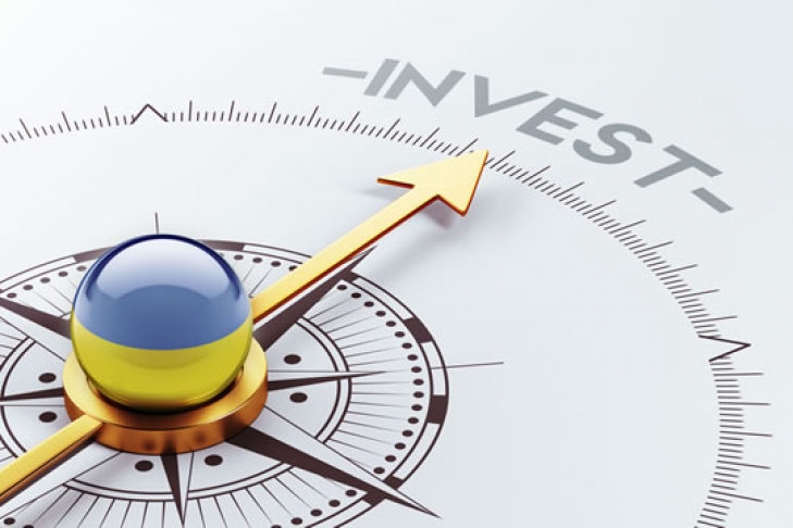 Applications for "investment nannies": 17 from Ukrainian investors, and 10 from international companies.