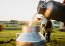 Milk production in Ukraine decreased by 6%.