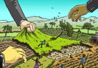 ФГИУ вернул государству 2500 гектаров незаконно конфискованных сельскохозяйственных земель.