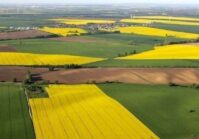 En Ucrania se vendieron más de 130 mil hectáreas de tierras agrícolas 