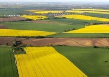More than 130 thousand hectares of agricultural land were sold in Ukraine.