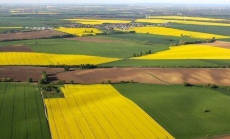 Plus de 130 000 hectares de terres agricoles ont été vendus en Ukraine.