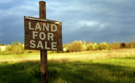 The number of land transactions increased by 37%