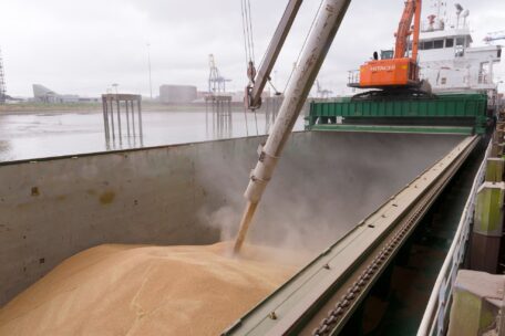 Ukrainian seaports shipped 4 mln tons of corn in November.