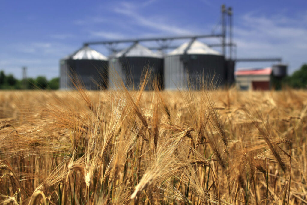 The State Grain Corporation (SSGCU) recorded a loss of UAH 328 mln in the first three quarters of this year.