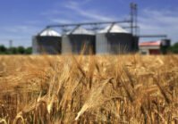Державна продовольчо-зернова корпорація (ДПЗКУ) зафіксувала збиток у розмірі ₴328 млн за перші три квартали поточного року.