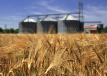 The State Grain Corporation (SSGCU) recorded a loss of UAH 328 mln in the first three quarters of this year.