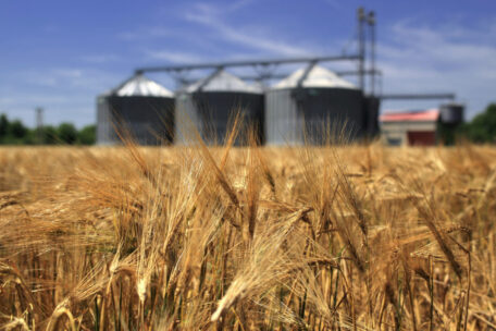 Державна продовольчо-зернова корпорація (ДПЗКУ) зафіксувала збиток у розмірі ₴328 млн за перші три квартали поточного року.