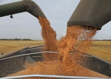 Exports of grain exceeded 26 million tons.
