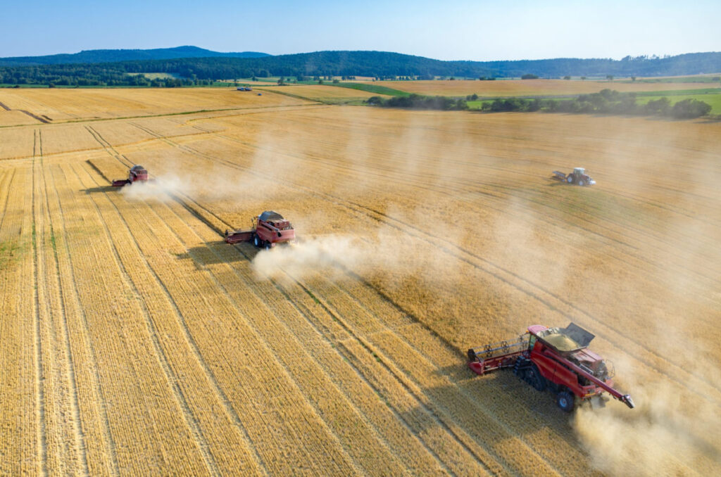 Ukraine grain harvest beats previous records.