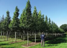Ukraine planted 240 million trees in 2021.