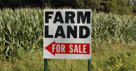На Prozorro объявлено более 3 000 земельных аукционов.