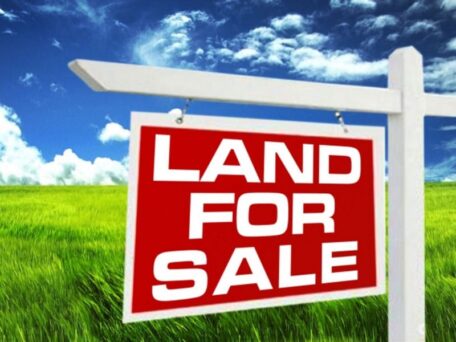 Prozorro Sales have already announced 2,693 land auctions.