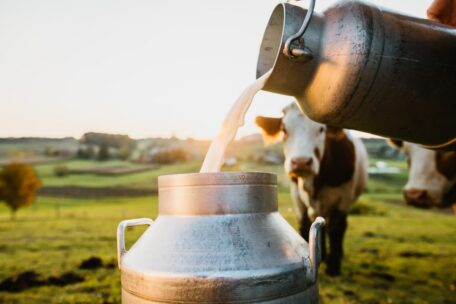 Производство молока в Украине сократилось на 5,9%.