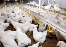 The EU has lifted restrictions on imports of poultry products.