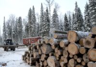  L'UEE a vendu 3,1 millions de mètres cubes de bois non transformé.