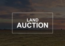 Agricultural land prices at auctions increased by 430%.
