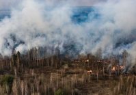 В Чернобыльском регионе горит более 10 000 гектаров леса.