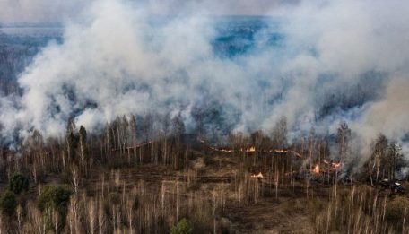 Más de 10.000 hectáreas de bosque están ardiendo en la región de Chernobyl.