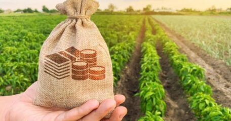 La cartera de préstamos para agricultores ha crecido más del 50%.