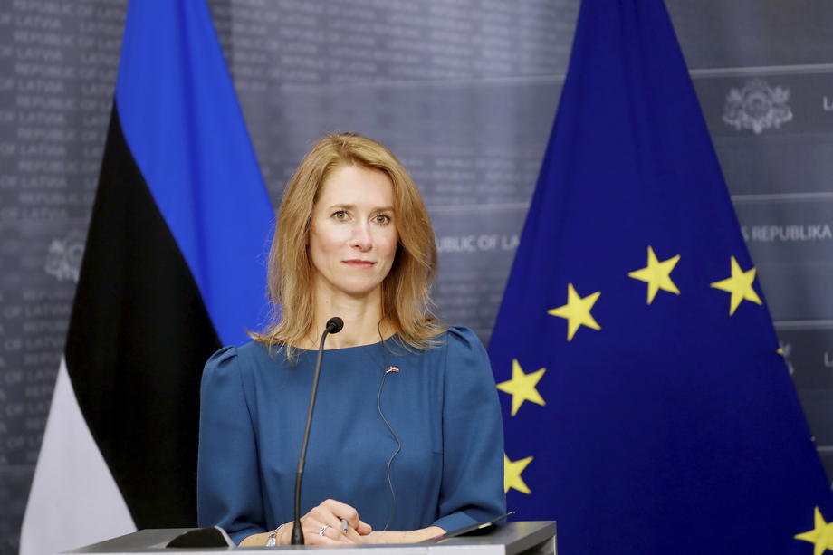 The Estonian government has officially supported Ukraine's application to join the EU