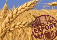 Eksport produktów rolnych z Ukrainy został ściśle ograniczony.