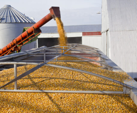 En el año comercial 2021/2022, Ucrania exportó 61,52 millones de toneladas de cereales y semillas oleaginosas por valor de 22.200 millones de dólares.