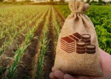Ощадбанк щоденно видає фермерам ₴200 млн кредитів.