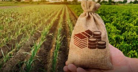 Ощадбанк ежедневно выдает фермерам ₴200 млн кредитов.