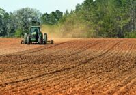 Ucrania plantará el 80% de las áreas sembradas del año pasado.