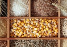 Ucrania ha restringido la exportación de trigo sarraceno, centeno y avena.