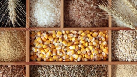 Ucrania ha restringido la exportación de trigo sarraceno, centeno y avena.