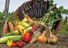 Кабінет Міністрів України затвердив низку заходів щодо забезпечення продовольчої безпеки в умовах воєнного стану.