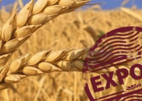 Ukraina uprości wymogi dotyczące eksportu i importu produktów rolnych.