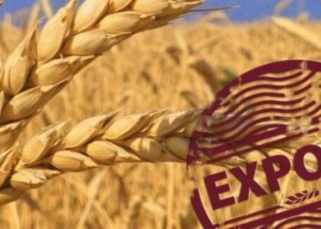 Ucrania simplificará los requisitos para la exportación/importación de productos agrícolas.