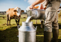 Експорт молока та згущених вершків збільшився на 44%.