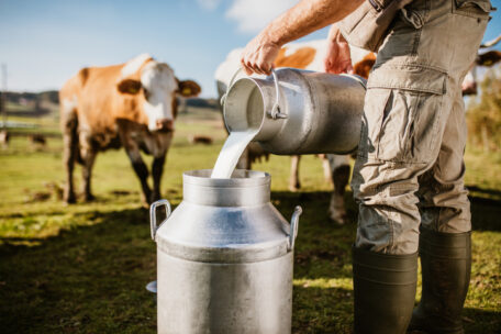 Export of milk and condensed cream has increased by 44%.