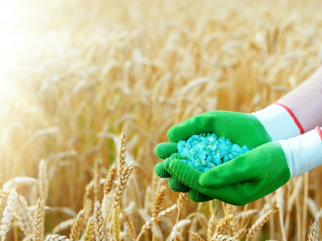 Ukraine resumes the export of rye and mineral fertilizers.